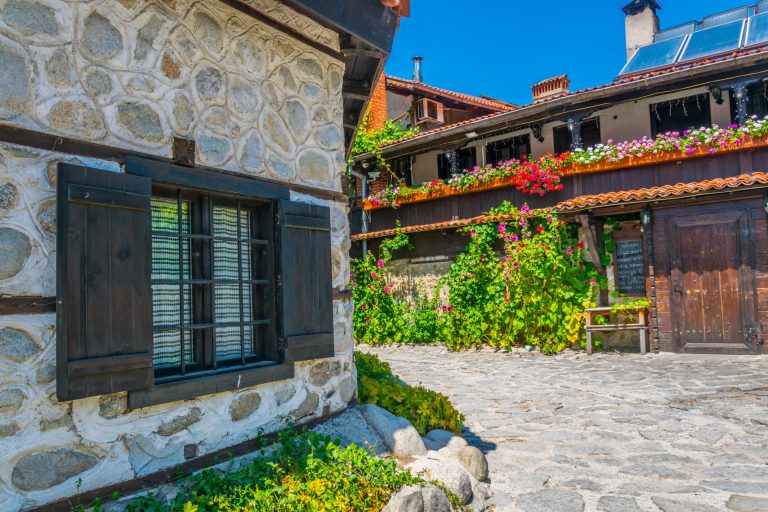 FAVORITUL BANSKO – AI CE SA VEZI