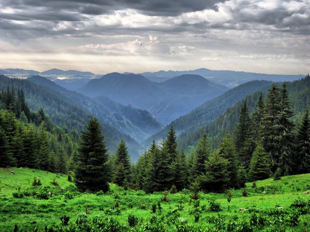 Das Bild zeit einen Bergabschnitt der Rhodopen in Bulgarien.